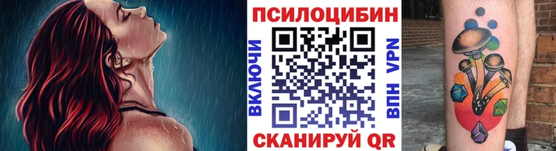 нарко площадка наркотические препараты  Красавино  Галлюциногенные грибы Cubensis 
